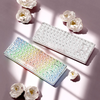 Clavier mécanique Bluetooth transparent couleur RVB tendance
