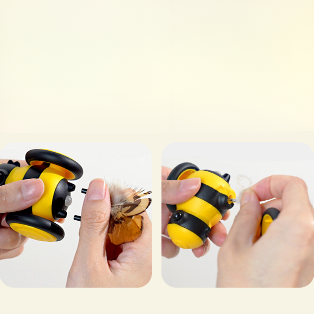 Bees Cat Car Toys