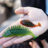 Multi-section Suspended Soft Bait