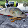 Soft Lure Fishing Lures Shrimp Lobster