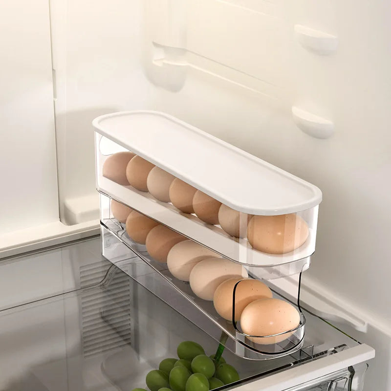 Refrigerator Egg Storage Box
