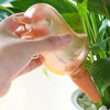 Bird Shaped Automatic Flower Waterer Plant Self Watering