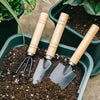 3Pcs/Set Mini Garden Tool Set Indoor Plants