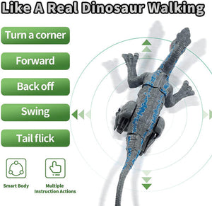 Remote Control Dinosaur Toy