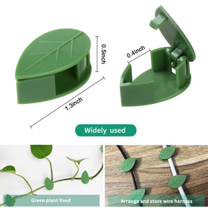 Plant Climbing Wall Fixture Vine Fixed Buckle Hook