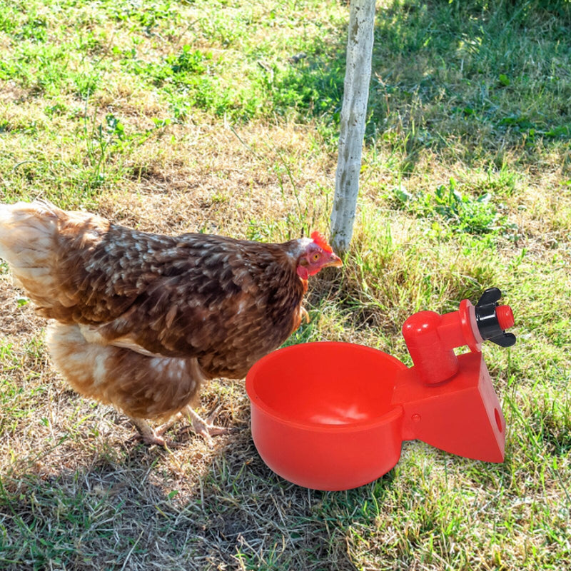 Automatic Poultry Drinking Bowl - Wholesale Send