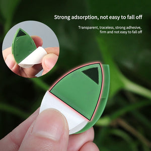 Plant Climbing Wall Fixture Vine Fixed Buckle Hook