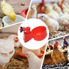 Automatic Poultry Drinking Bowl