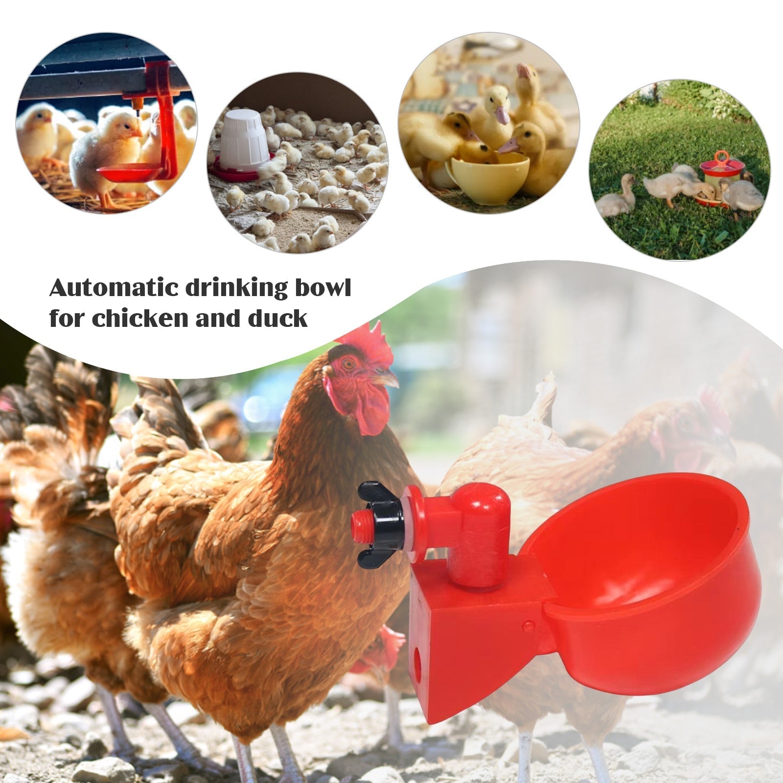 Automatic Poultry Drinking Bowl
