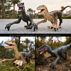 Remote Control Dinosaur Toy