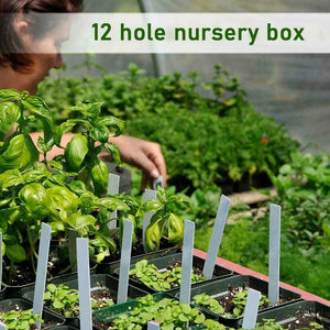 12 Holes Seed Starter Trays