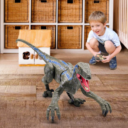Remote Control Dinosaur Toy