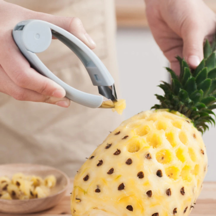 Strawberry Steel Pineapple Eye Peeler Fruit Seed Remover